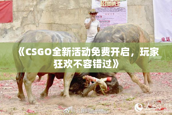 《CSGO全新活动免费开启，玩家狂欢不容错过》