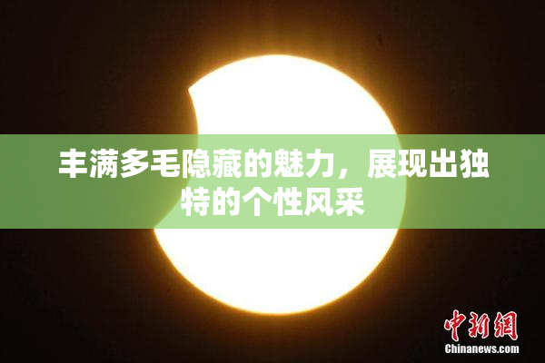 丰满多毛隐藏的魅力，展现出独特的个性风采