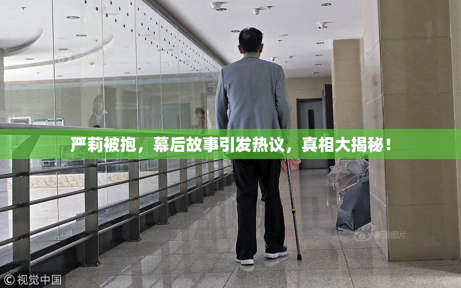 严莉被抱，幕后故事引发热议，真相大揭秘！