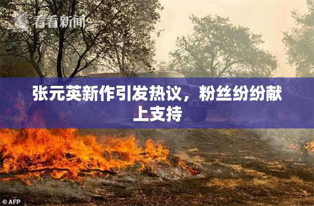 张元英新作引发热议，粉丝纷纷献上支持
