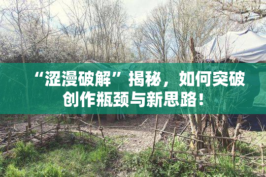 “涩漫破解”揭秘，如何突破创作瓶颈与新思路！