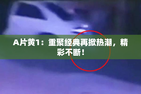 A片黄1：重聚经典再掀热潮，精彩不断！