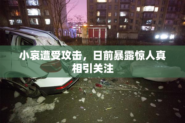 小哀遭受攻击，日前暴露惊人真相引关注