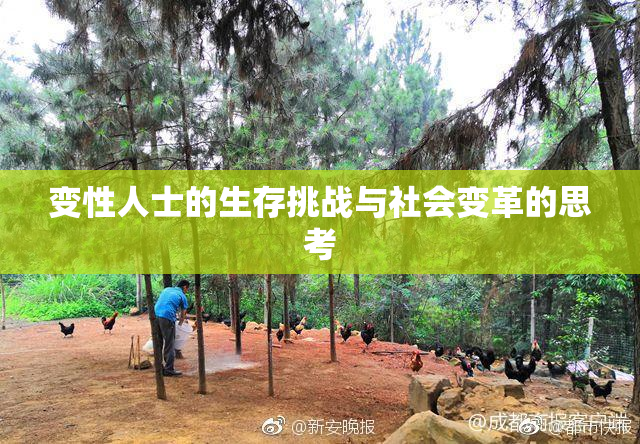 变性人士的生存挑战与社会变革的思考