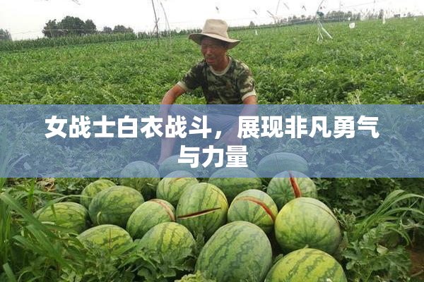女战士白衣战斗，展现非凡勇气与力量