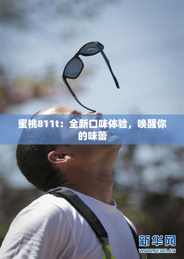 蜜桃811t：全新口味体验，唤醒你的味蕾