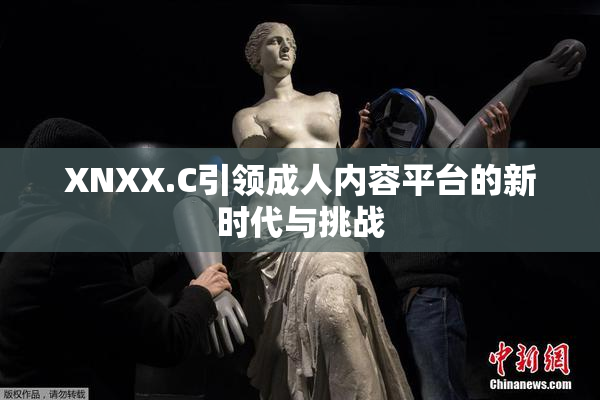 XNXX.C引领成人内容平台的新时代与挑战