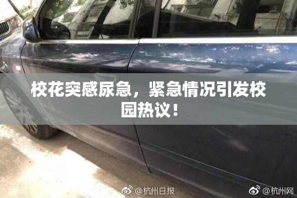 校花突感尿急，紧急情况引发校园热议！