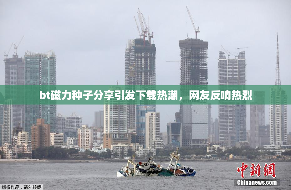 bt磁力种子分享引发下载热潮，网友反响热烈
