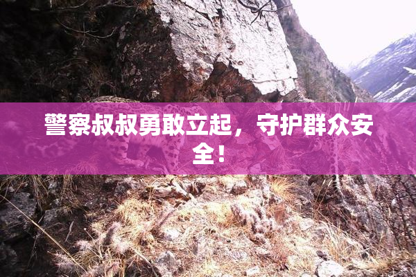 警察叔叔勇敢立起，守护群众安全！