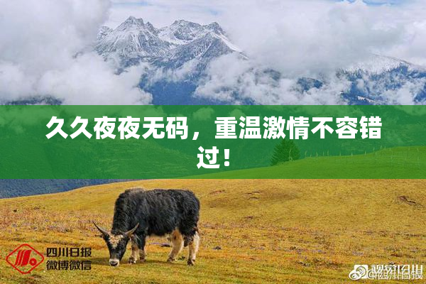 久久夜夜无码，重温激情不容错过！