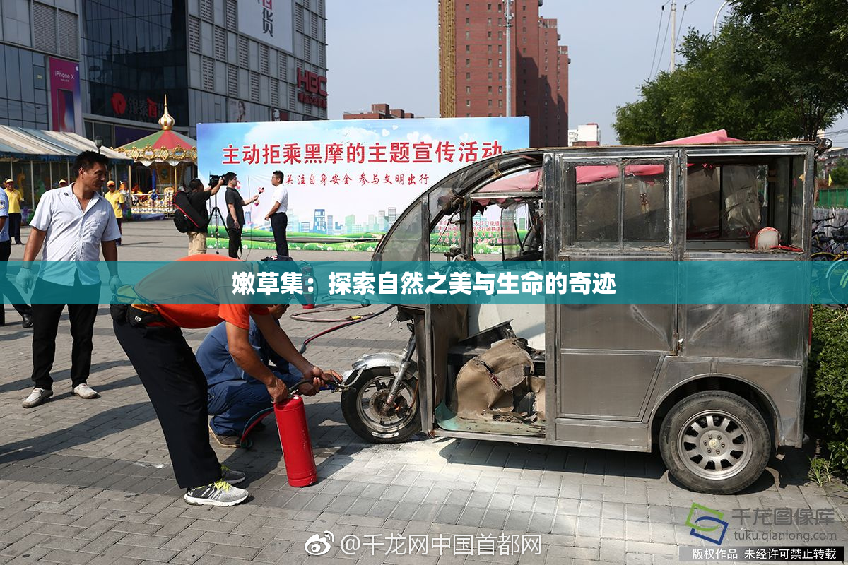 嫩草集：探索自然之美与生命的奇迹