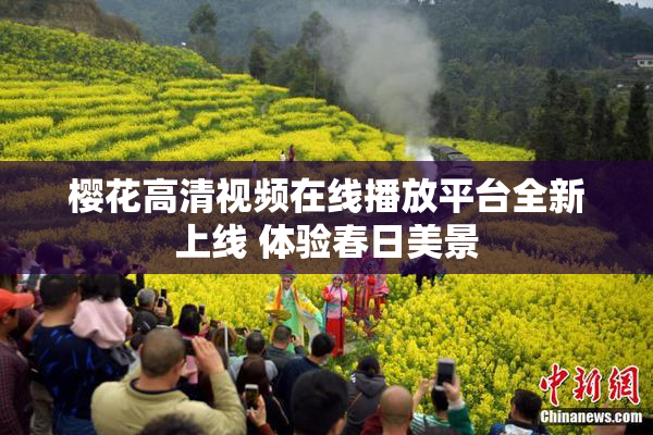 樱花高清视频在线播放平台全新上线 体验春日美景