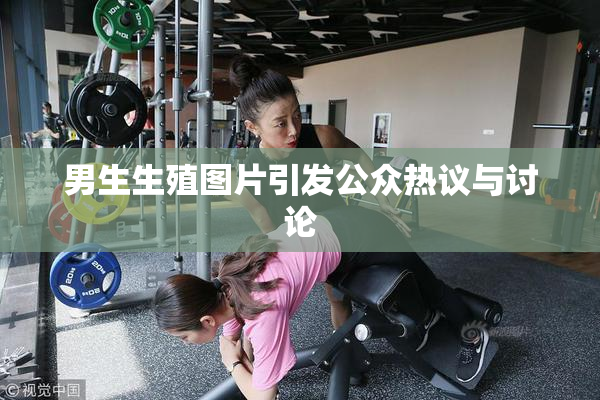 男生生殖图片引发公众热议与讨论