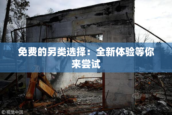 免费的另类选择：全新体验等你来尝试
