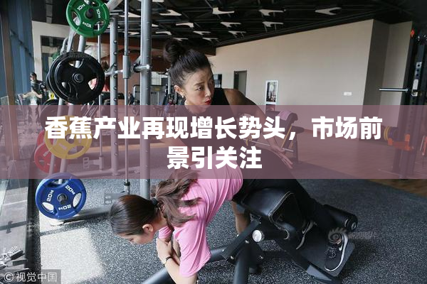 香蕉产业再现增长势头，市场前景引关注
