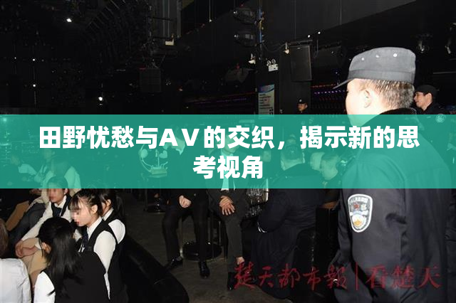 田野忧愁与AⅤ的交织，揭示新的思考视角