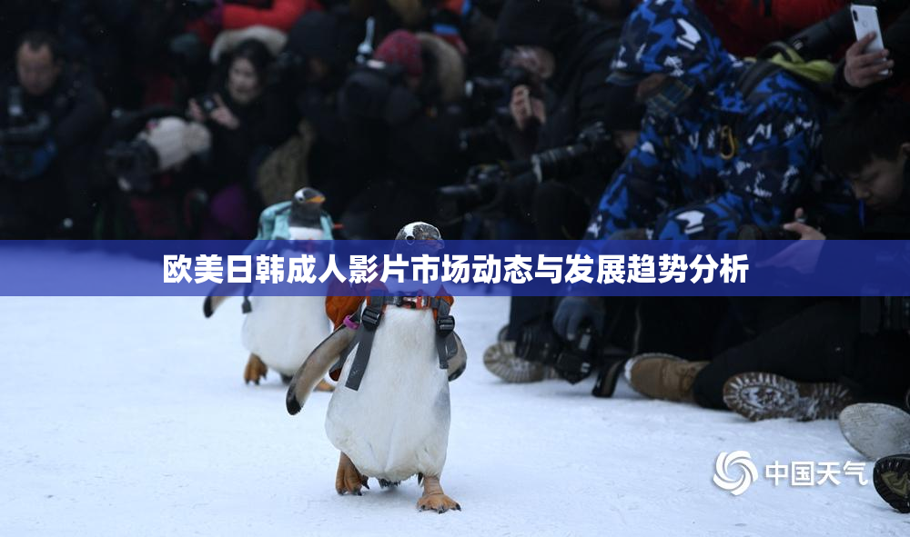 欧美日韩成人影片市场动态与发展趋势分析