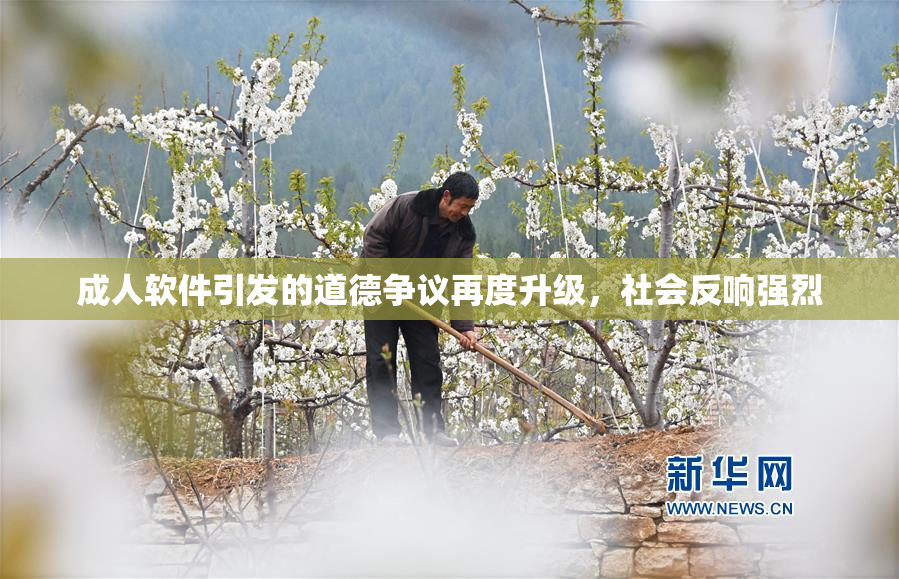 成人软件引发的道德争议再度升级，社会反响强烈