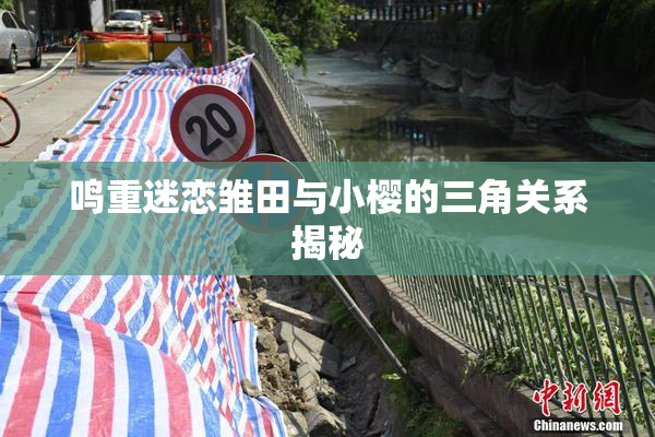 鸣重迷恋雏田与小樱的三角关系揭秘
