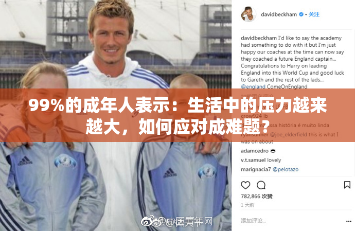 99%的成年人表示：生活中的压力越来越大，如何应对成难题？