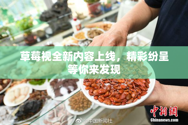 草莓视全新内容上线，精彩纷呈等你来发现
