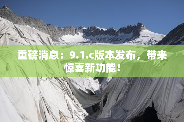 重磅消息：9.1.c版本发布，带来惊喜新功能！