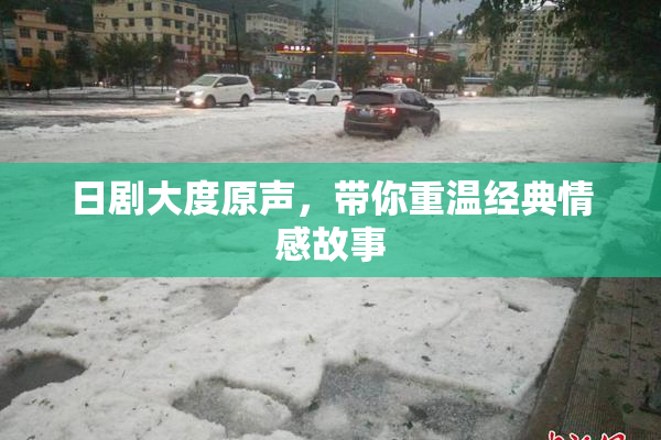 日剧大度原声，带你重温经典情感故事