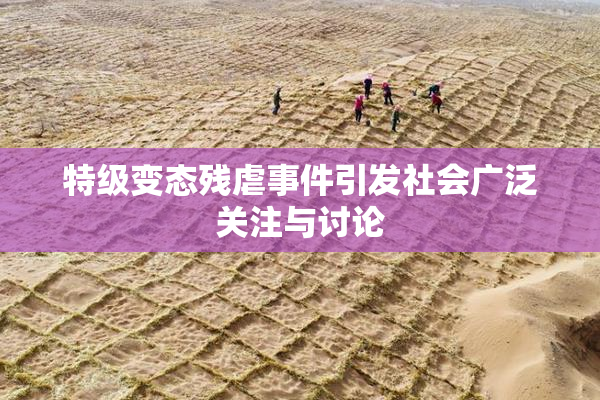 特级变态残虐事件引发社会广泛关注与讨论