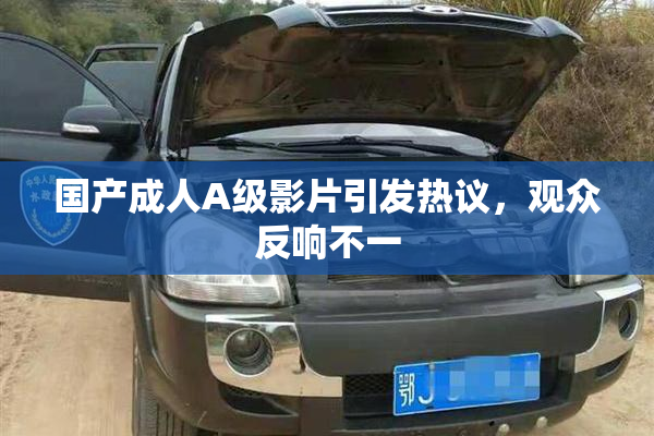 国产成人A级影片引发热议，观众反响不一