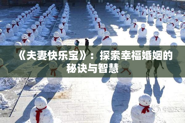 《夫妻快乐宝》：探索幸福婚姻的秘诀与智慧