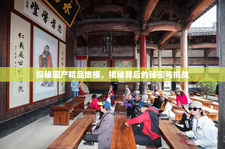 探秘国产精品嫩模，揭秘背后的秘密与挑战