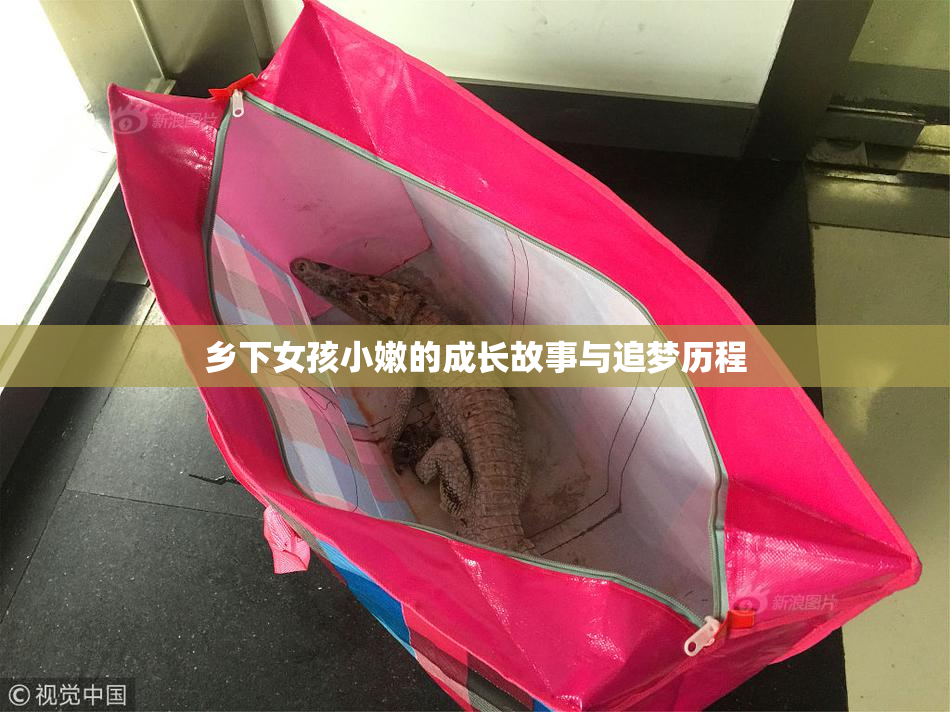 乡下女孩小嫩的成长故事与追梦历程