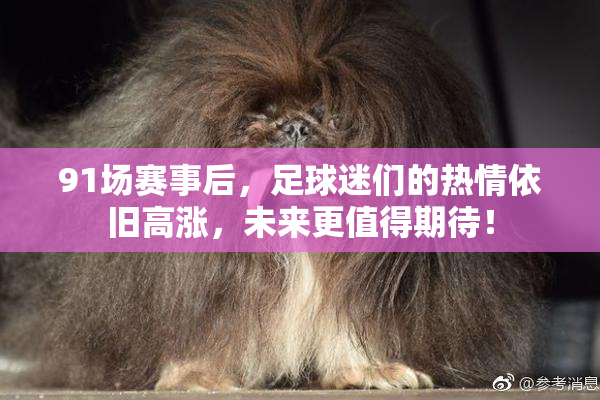 91场赛事后，足球迷们的热情依旧高涨，未来更值得期待！