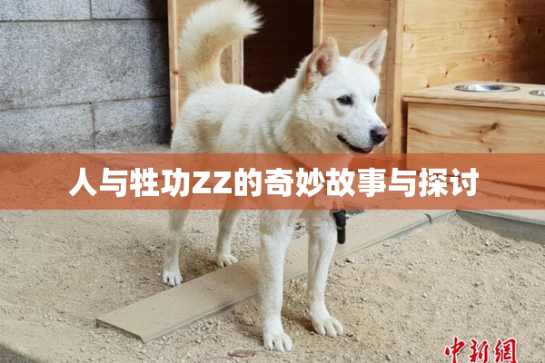 人与牲功ZZ的奇妙故事与探讨