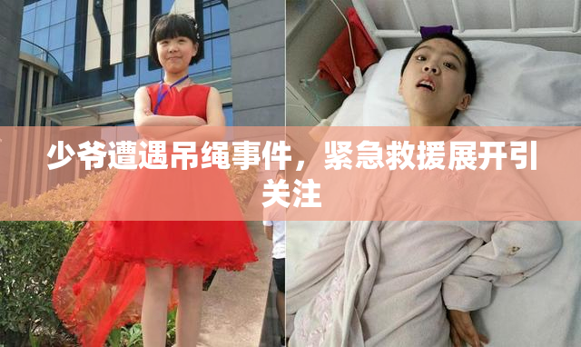 少爷遭遇吊绳事件，紧急救援展开引关注