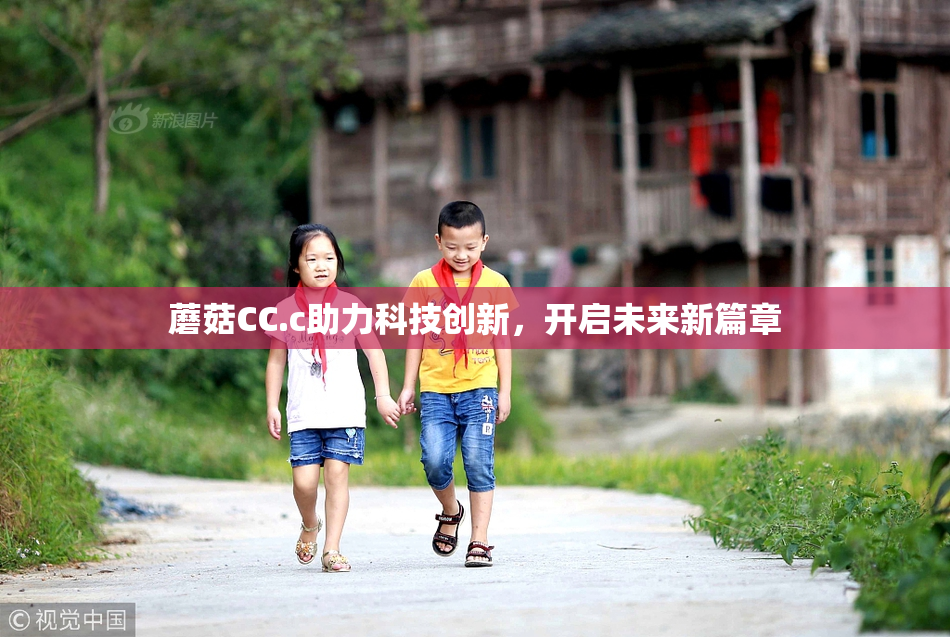 蘑菇CC.c助力科技创新，开启未来新篇章