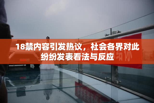 18禁内容引发热议，社会各界对此纷纷发表看法与反应