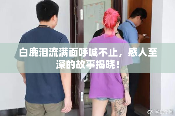 白鹿泪流满面呼喊不止，感人至深的故事揭晓！