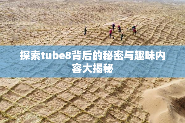 探索tube8背后的秘密与趣味内容大揭秘