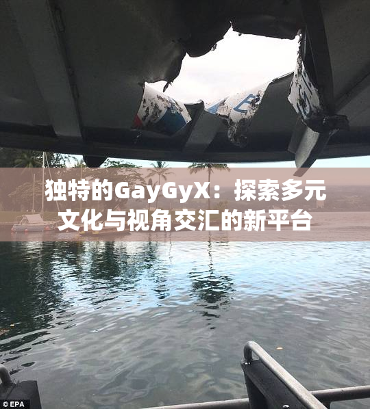 独特的GayGyX：探索多元文化与视角交汇的新平台