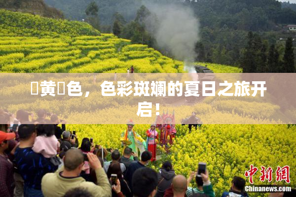✿黄✿色，色彩斑斓的夏日之旅开启！