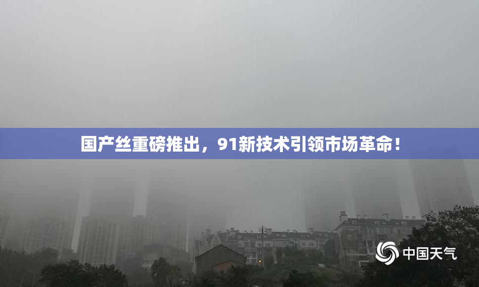 国产丝重磅推出，91新技术引领市场革命！
