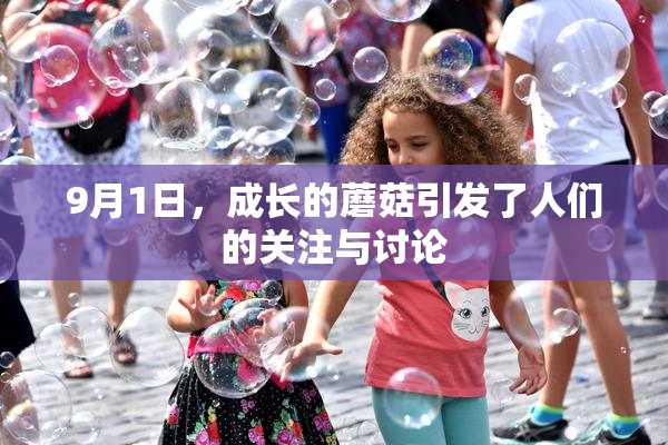 9月1日，成长的蘑菇引发了人们的关注与讨论