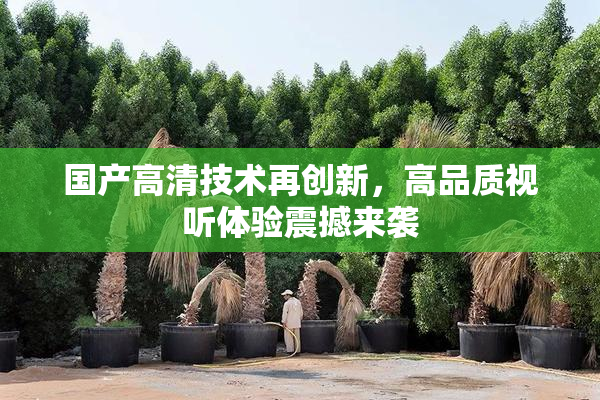 国产高清技术再创新，高品质视听体验震撼来袭