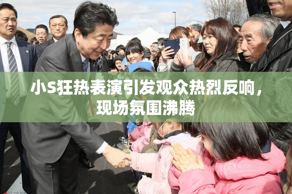 小S狂热表演引发观众热烈反响，现场氛围沸腾