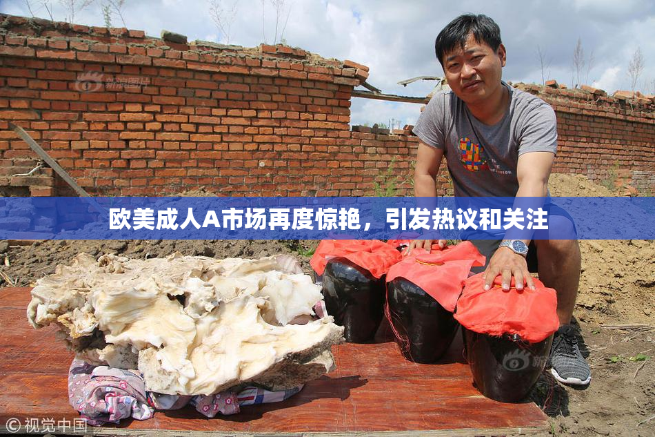 欧美成人A市场再度惊艳，引发热议和关注