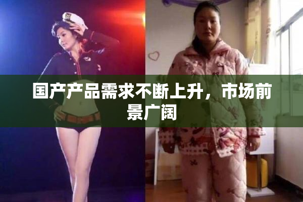 国产产品需求不断上升，市场前景广阔