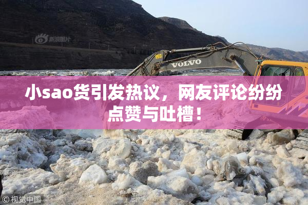 小sao货引发热议，网友评论纷纷点赞与吐槽！