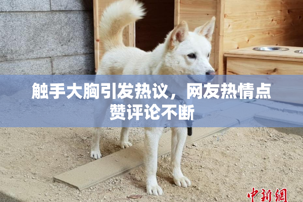 触手大胸引发热议，网友热情点赞评论不断